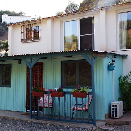 Vegan Guesthouse Finca Pereila Coín Buitenkant foto