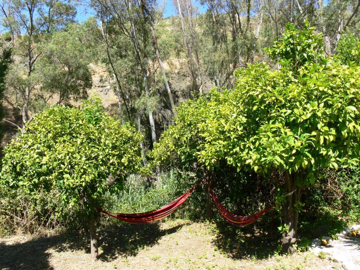 Vegan Guesthouse Finca Pereila Coín Buitenkant foto