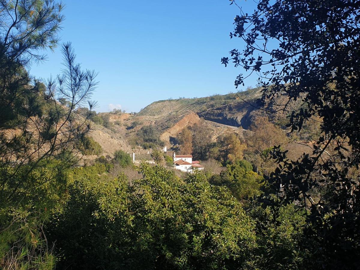 Vegan Guesthouse Finca Pereila Coín Buitenkant foto
